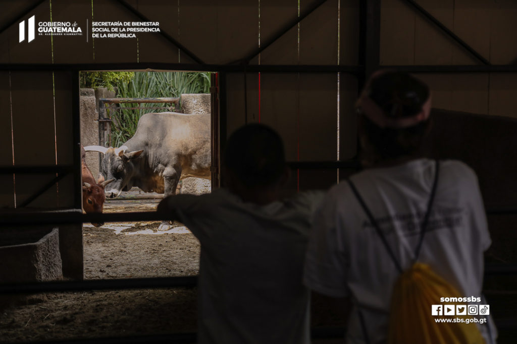 SBS - Protección - ABI - Visita a Zoológico - 17